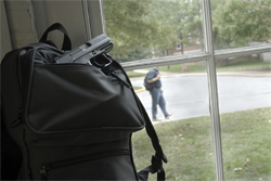 School Gang Training:&nbsp; Gangs&nbsp; and School Safety